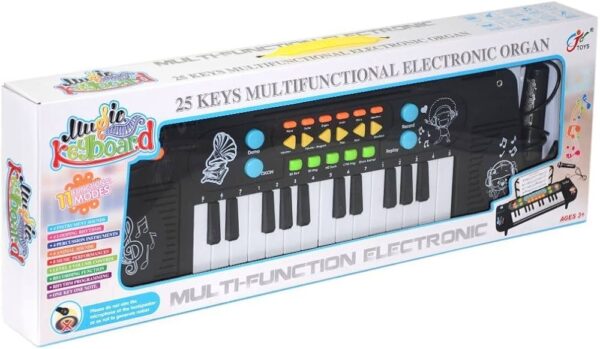 Zorg Music 25 Key Game